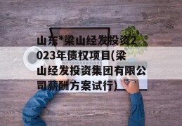 山东*梁山经发投资2023年债权项目(梁山经发投资集团有限公司薪酬方案试行)