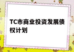 TC市商业投资发展债权计划