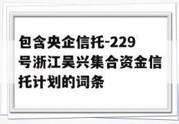 包含央企信托-229号浙江吴兴集合资金信托计划的词条