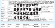 山东青州城投2022应收债权项目(山东青州城投2022应收债权项目招标)