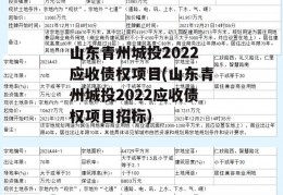 山东青州城投2022应收债权项目(山东青州城投2022应收债权项目招标)