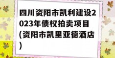 四川资阳市凯利建设2023年债权拍卖项目(资阳市凯里亚德酒店)