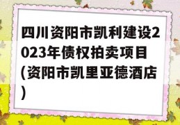 四川资阳市凯利建设2023年债权拍卖项目(资阳市凯里亚德酒店)