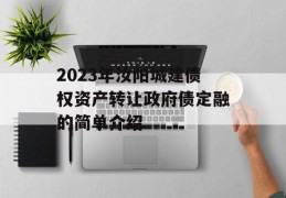 2023年汝阳城建债权资产转让政府债定融的简单介绍