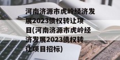 河南济源市虎岭经济发展2023债权转让项目(河南济源市虎岭经济发展2023债权转让项目招标)