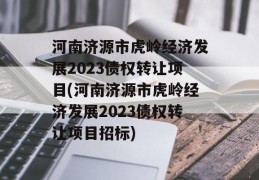 河南济源市虎岭经济发展2023债权转让项目(河南济源市虎岭经济发展2023债权转让项目招标)