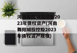 河南舞阳城投控股2023年债权资产(河南舞阳城投控股2023年债权资产规模)