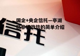 国企+央企信托—亭湖区非标政信的简单介绍