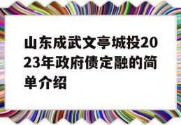 山东成武文亭城投2023年政府债定融的简单介绍