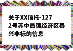 关于XX信托-1272号苏中最强经济区泰兴非标的信息