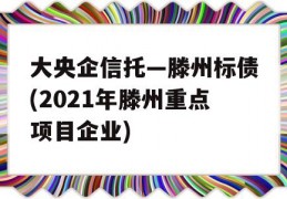 大央企信托—滕州标债(2021年滕州重点项目企业)