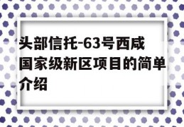 头部信托-63号西咸国家级新区项目的简单介绍