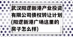 武汉阳逻新港产业投资有限公司债权转让计划(阳逻新港广场这里的房子怎么样)