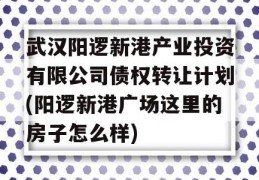 武汉阳逻新港产业投资有限公司债权转让计划(阳逻新港广场这里的房子怎么样)