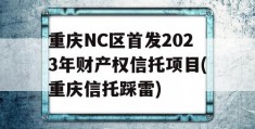 重庆NC区首发2023年财产权信托项目(重庆信托踩雷)