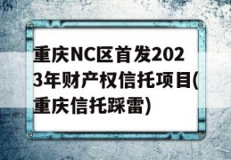 重庆NC区首发2023年财产权信托项目(重庆信托踩雷)