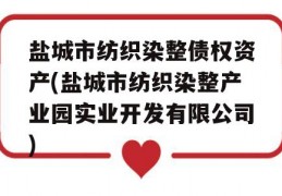 盐城市纺织染整债权资产(盐城市纺织染整产业园实业开发有限公司)