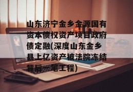 山东济宁金乡金源国有资本债权资产项目政府债定融(深度山东金乡县上亿资产被法院冻结背后一笔工程)