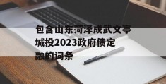 包含山东菏泽成武文亭城投2023政府债定融的词条