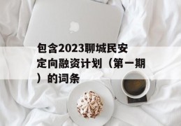 包含2023聊城民安定向融资计划（第一期）的词条