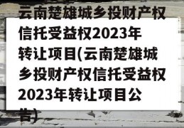 云南楚雄城乡投财产权信托受益权2023年转让项目(云南楚雄城乡投财产权信托受益权2023年转让项目公告)