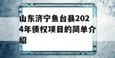 山东济宁鱼台县2024年债权项目的简单介绍