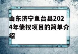 山东济宁鱼台县2024年债权项目的简单介绍