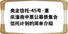 央企信托-45号·重庆潼南中票公募债集合信托计划的简单介绍