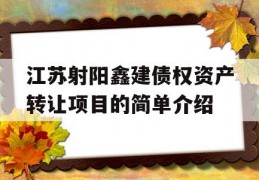 江苏射阳鑫建债权资产转让项目的简单介绍