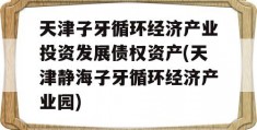 天津子牙循环经济产业投资发展债权资产(天津静海子牙循环经济产业园)