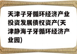 天津子牙循环经济产业投资发展债权资产(天津静海子牙循环经济产业园)