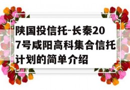 陕国投信托-长秦207号咸阳高科集合信托计划的简单介绍