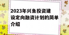 2023年兴鱼投资建设定向融资计划的简单介绍