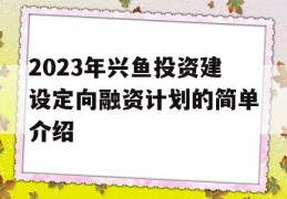 2023年兴鱼投资建设定向融资计划的简单介绍