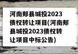 河南郏县城投2023债权转让项目(河南郏县城投2023债权转让项目中标公告)