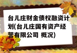 台儿庄财金债权融资计划(台儿庄国有资产经营有限公司 概况)