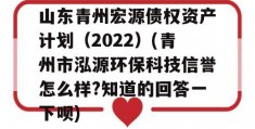 山东青州宏源债权资产计划（2022）(青州市泓源环保科技信誉怎么样?知道的回答一下呗)