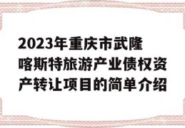 2023年重庆市武隆喀斯特旅游产业债权资产转让项目的简单介绍