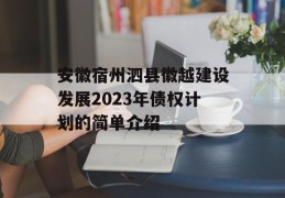 安徽宿州泗县徽越建设发展2023年债权计划的简单介绍