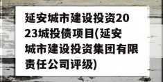 延安城市建设投资2023城投债项目(延安城市建设投资集团有限责任公司评级)