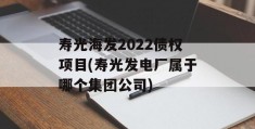 寿光海发2022债权项目(寿光发电厂属于哪个集团公司)