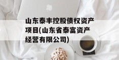 山东泰丰控股债权资产项目(山东省泰富资产经营有限公司)