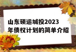 山东硕运城投2023年债权计划的简单介绍