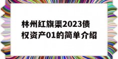 林州红旗渠2023债权资产01的简单介绍