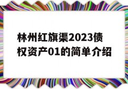 林州红旗渠2023债权资产01的简单介绍