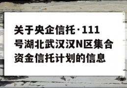 关于央企信托·111号湖北武汉汉N区集合资金信托计划的信息