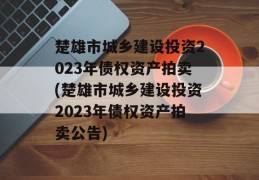 楚雄市城乡建设投资2023年债权资产拍卖(楚雄市城乡建设投资2023年债权资产拍卖公告)