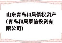 山东青岛和晟债权资产(青岛和晟泰信投资有限公司)