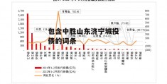 包含中胜山东济宁城投债的词条