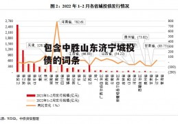 包含中胜山东济宁城投债的词条